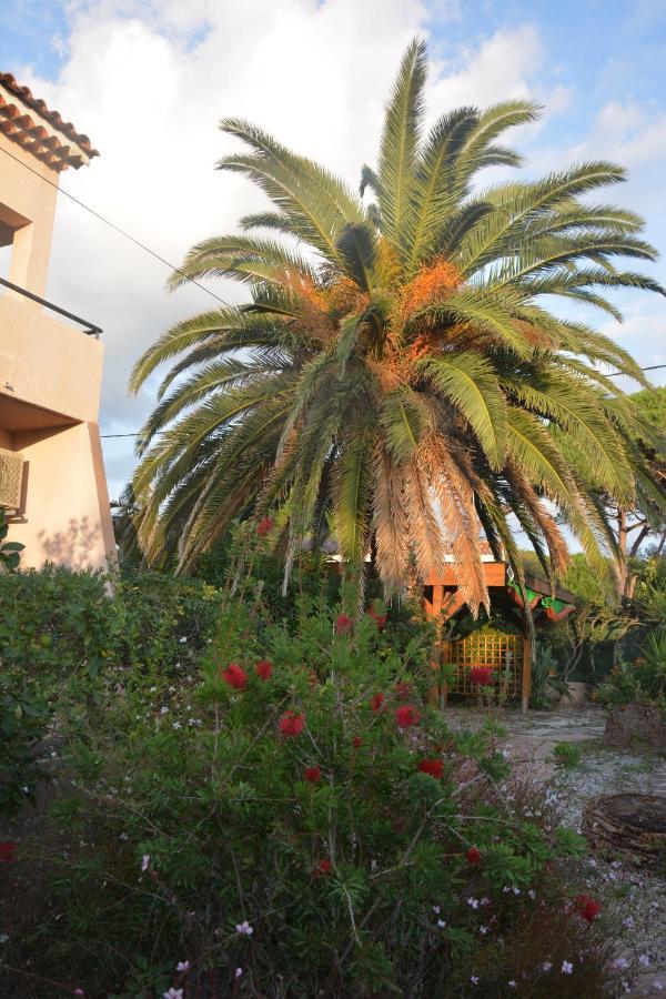 Rose De Sel Apartment Hyeres Bagian luar foto